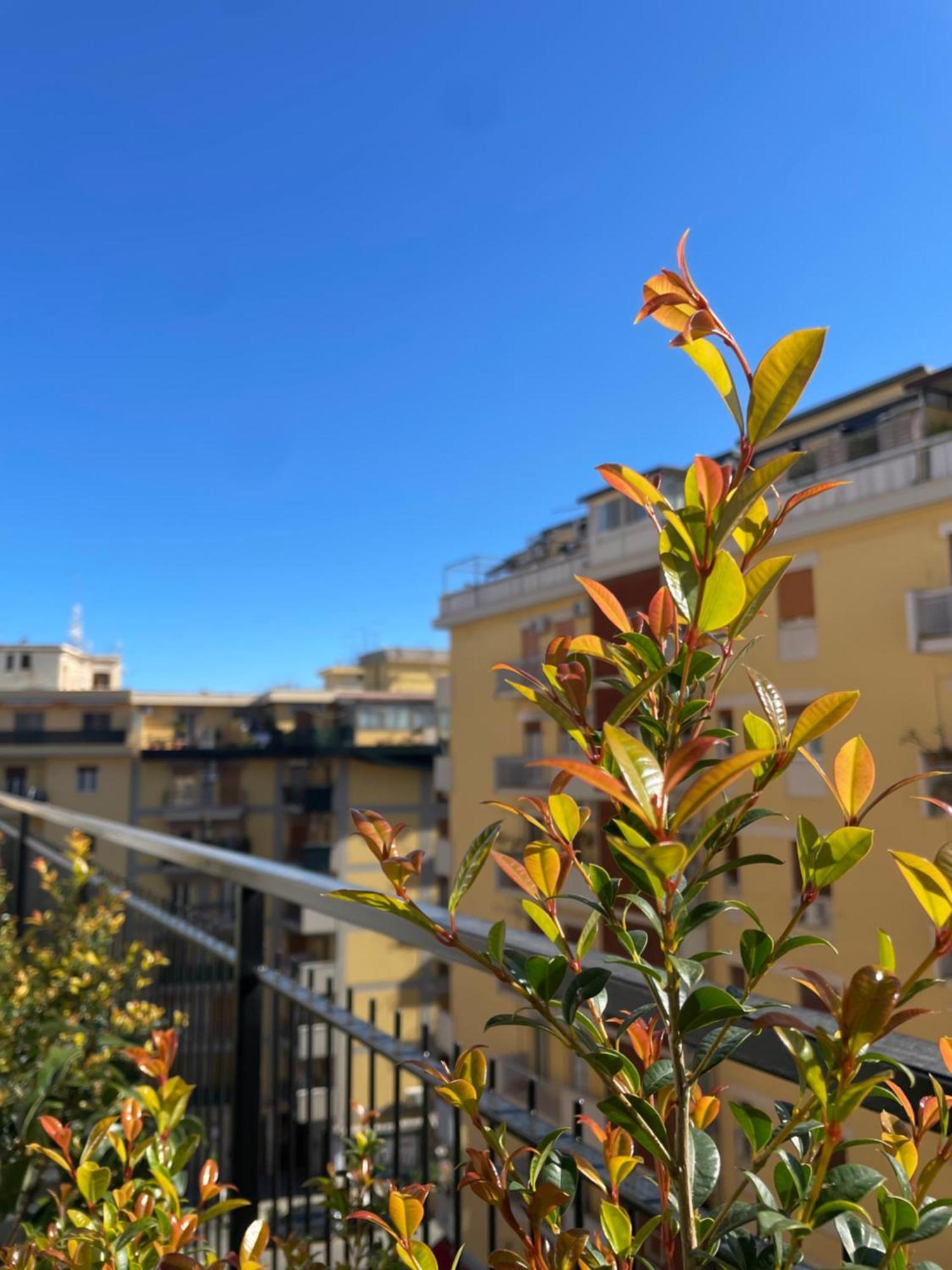 Terrazza L Emiro Casa Vacanze Apartment ปาแลร์โม ภายนอก รูปภาพ
